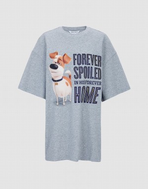 Camiseta Urban Revivo The Secret Life Of Pets Oversized Mujer Amarillos | YMY4350BN