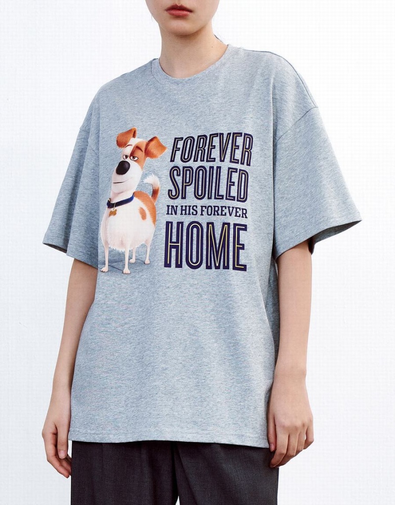 Camiseta Urban Revivo The Secret Life Of Pets Oversized Mujer Amarillos | YMY4350BN