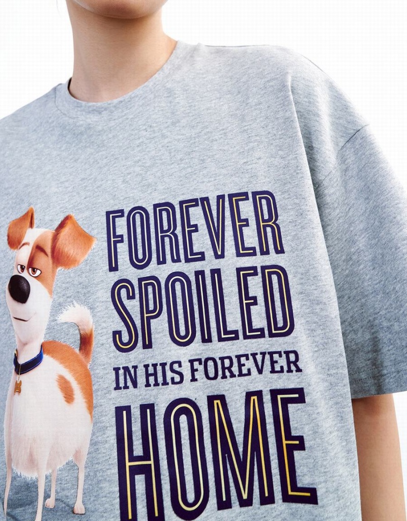 Camiseta Urban Revivo The Secret Life Of Pets Oversized Mujer Amarillos | YMY4350BN