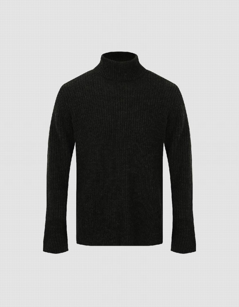 Suéteres Urban Revivo Turtle Neck Directo Hombre Verdes | LZW7344YQ